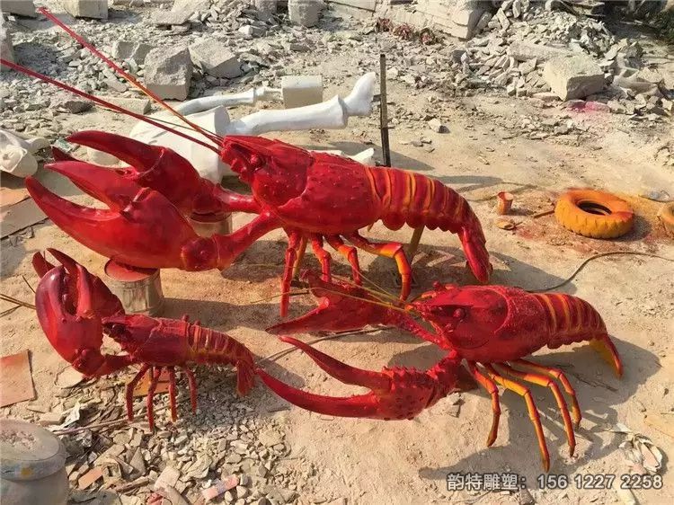 4_6_223904_750_562 4_6_223904_750_562